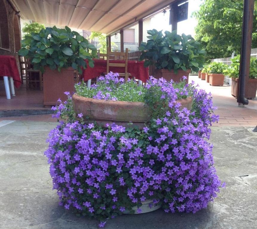 Albergo Di มูร์โล ภายนอก รูปภาพ